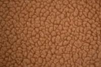 DSC_2894